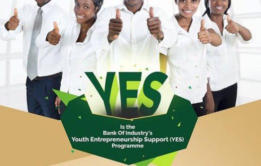 Image result for YES-P