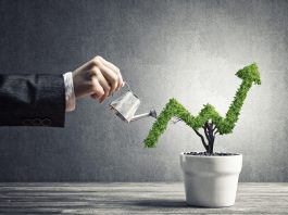 How to grow a profitable business