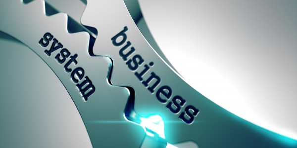 building business systems in place
